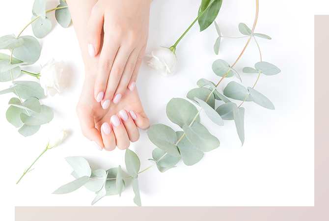 ネイルイメージ